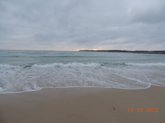 Beach Shellharbour